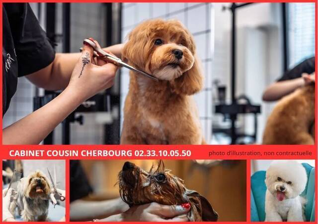 Sale Business Cherbourg (50100)