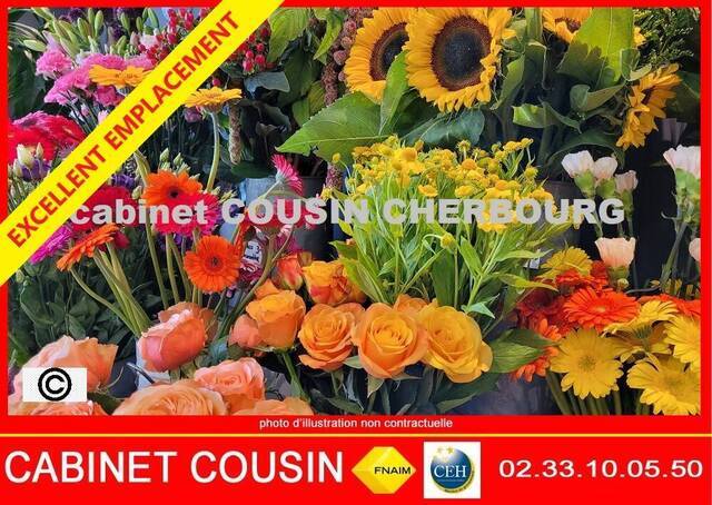 Sale Business cadeaux - fleurs Cherbourg-en-Cotentin (50100)