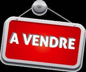 Sale Business murs commerciaux 600 m² Poitiers (86000)