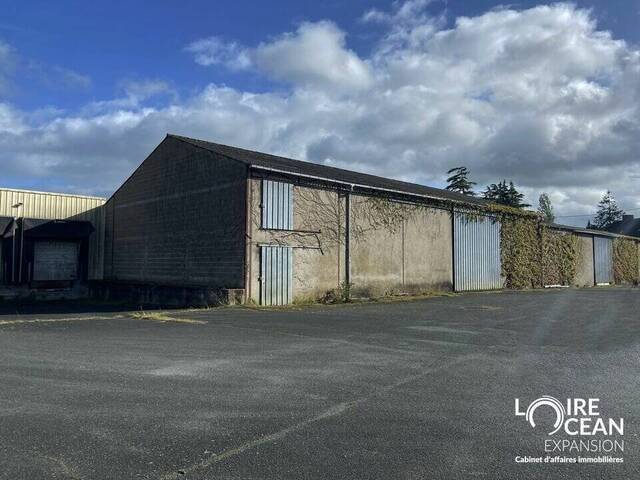 Sale Professional premises 2700 m² Liré (49530)