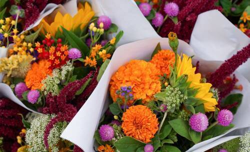 Vente Fonds de commerce fleurs 125 m² Poitiers (86000)