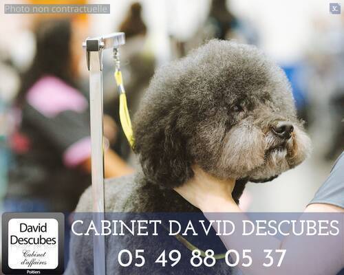 Vente Fonds de commerce services à la personne 32 m² Poitiers (86000)