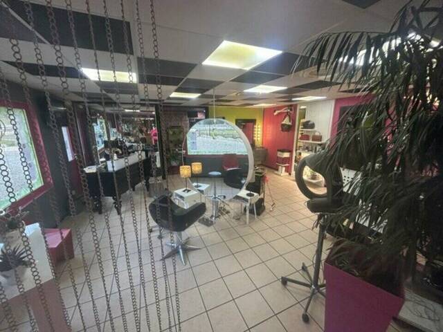 Sale Professional premises coiffure mixte 120 m² Saint-Alban-de-Montbel (73610)