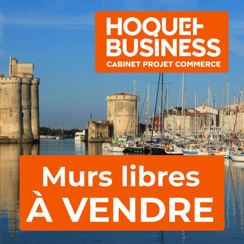 Vente Local commercial / murs commerciaux 48 m² Les Mathes (17570)