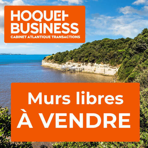 Vente Local entrepôt 480 m² Saintes (17100)