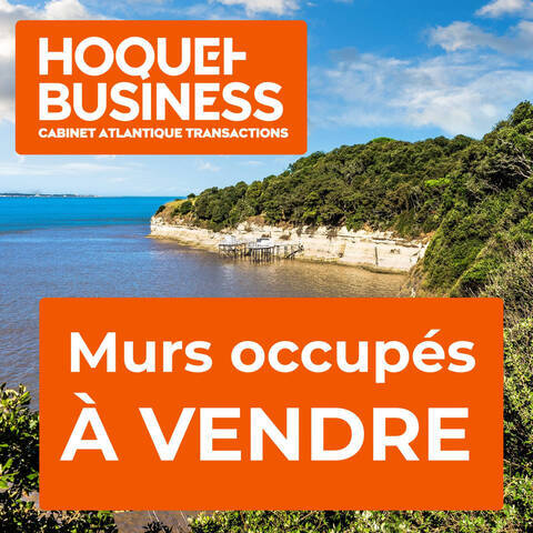 Sale Building immeuble mixte 190 m² Breuillet (17920)