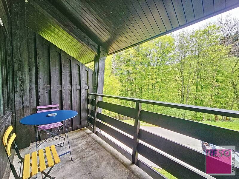 Vente appartement 1 pièce 29.84 m² à Bogève 74250