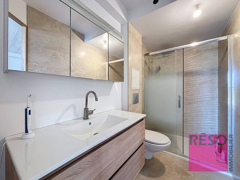 Vente maison 6 pièces 327 m² à Collonges-sous-Salève 74160