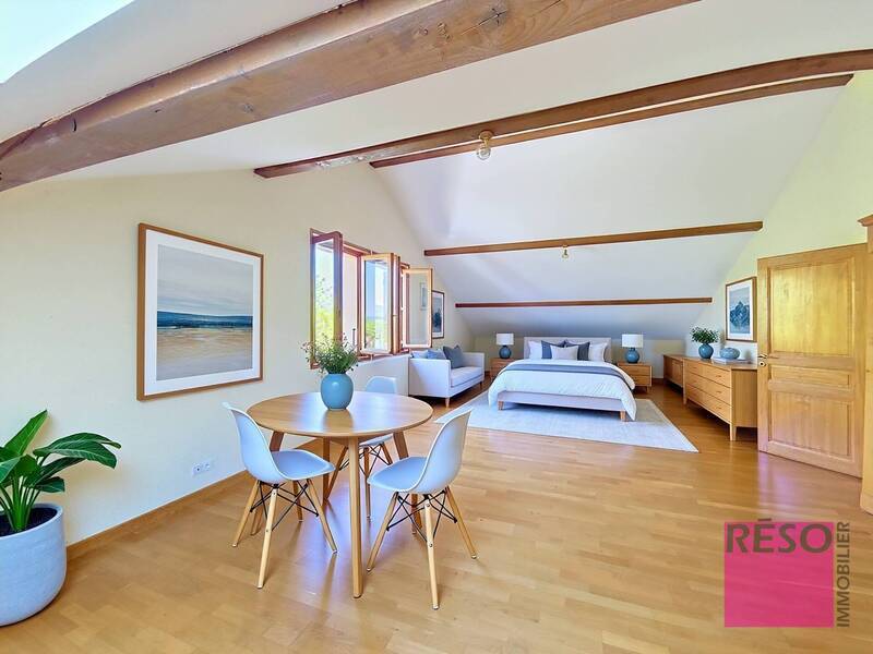 Vente maison 13 pièces 347 m² à Valleiry 74520