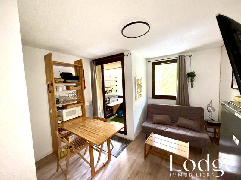 Vente appartement 1 pièce 20 m² à Puy-Saint-Vincent 05290