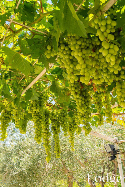 Vente maison 6 pièces 158.58 m² à Peypin 13124