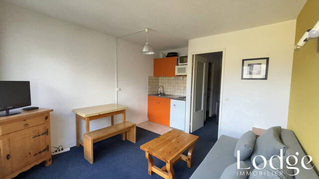 Vente Appartement 1 pièce 20 m² Puy-Saint-Vincent 05290