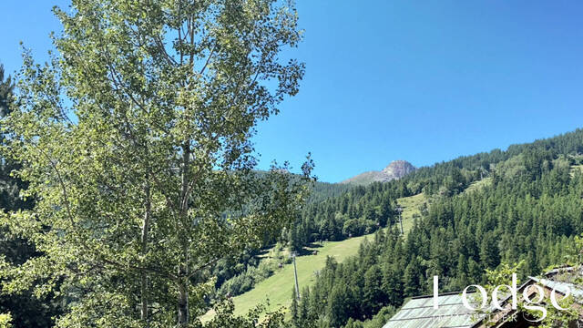 Vente Maison 3 pièces 59 m² Saint-Chaffrey 05330